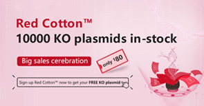 Red Cotton™ gRNA plasmid bank
