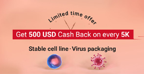 Stable cell line .Virus packaging